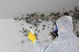 Peoria Heights, IL Mold Inspection Company